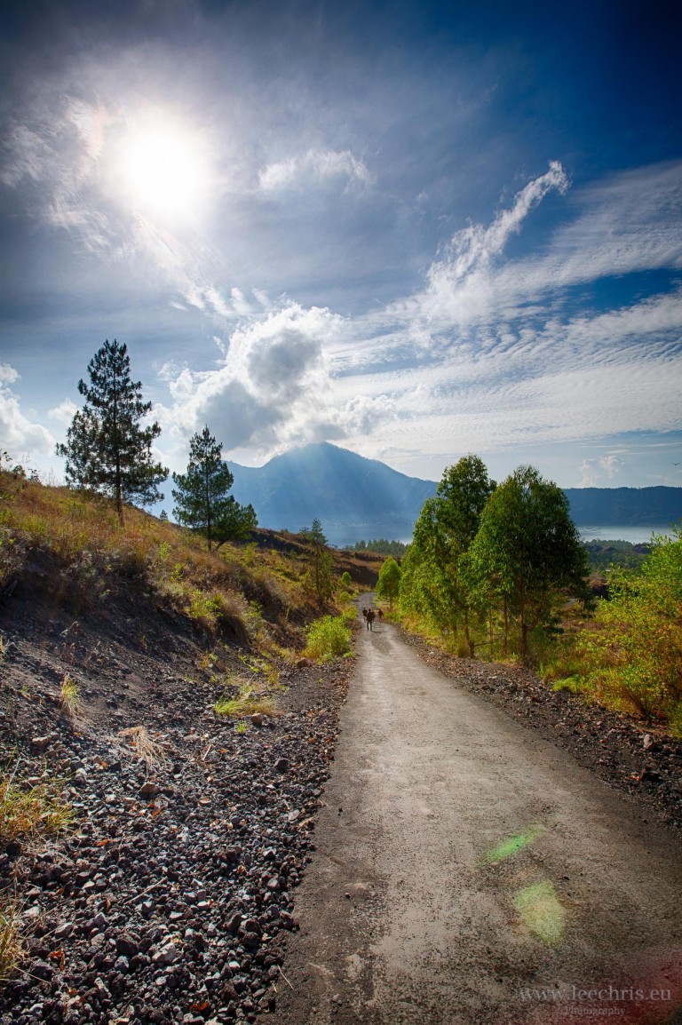 OI0A1245_HDR