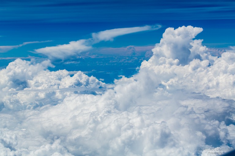 OI0A9347-2